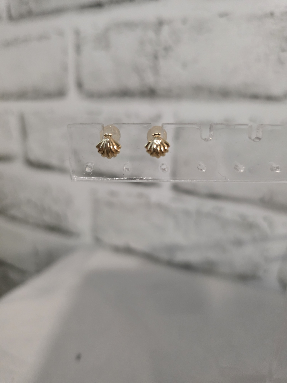 Gold Shell Stud Earrings for Women